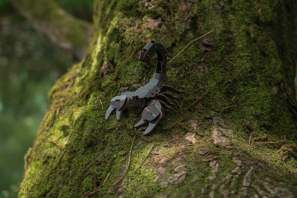 Makebug Rainforest Scorpion