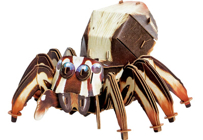 Makebug Jumping Spider