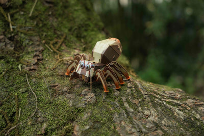 Makebug Jumping Spider