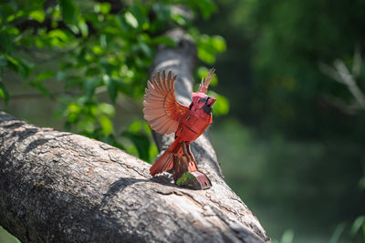 Makebug American Cardinal
