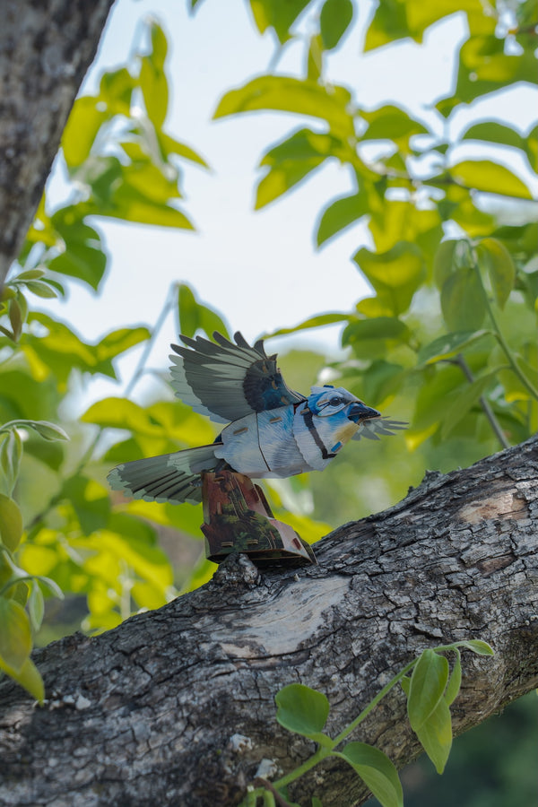Makebug Blue Jay