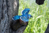 Makebug Blue Jay