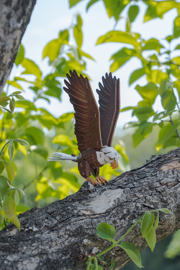 Makebug Bald Eagle