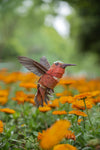 Makebug Hummingbird