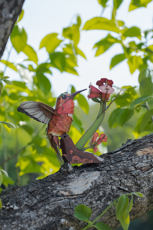 Makebug Hummingbird
