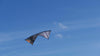 Spiderkites Shiva Core Nightfall