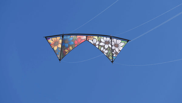Spiderkites Shiva Core Graffiti