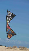 Spiderkites Shiva Core Graffiti