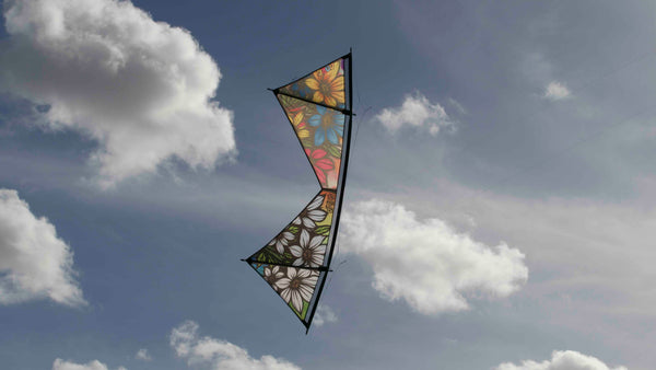 Spiderkites Shiva Core Graffiti