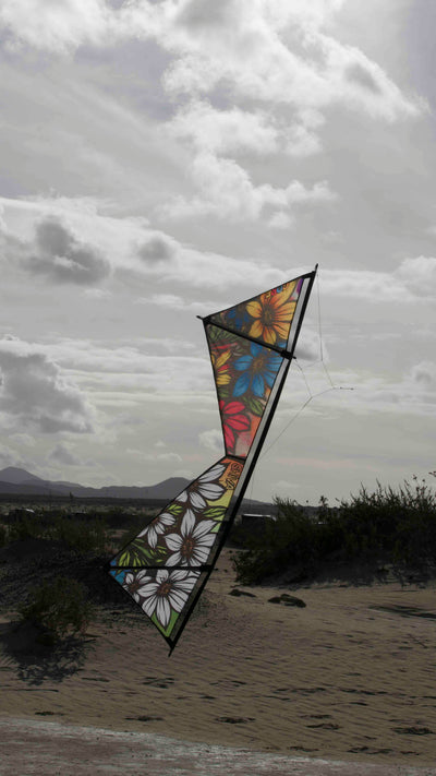 Spiderkites Shiva Core Graffiti