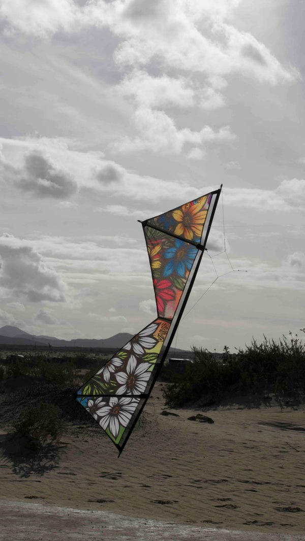 Spiderkites Shiva Core Graffiti