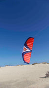 Spiderkites Wasabi 2.4