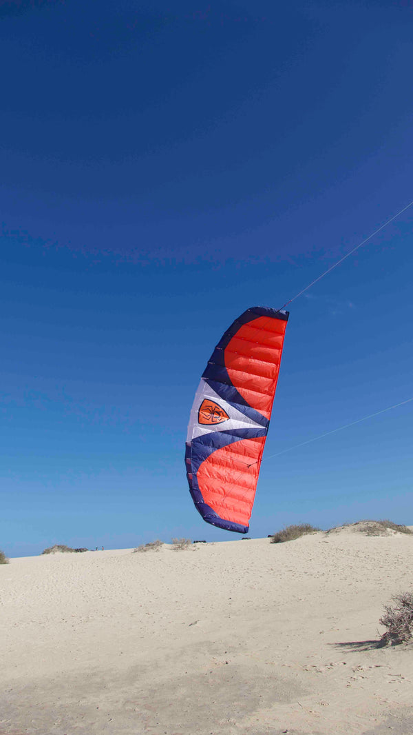 Spiderkites Wasabi 2.4