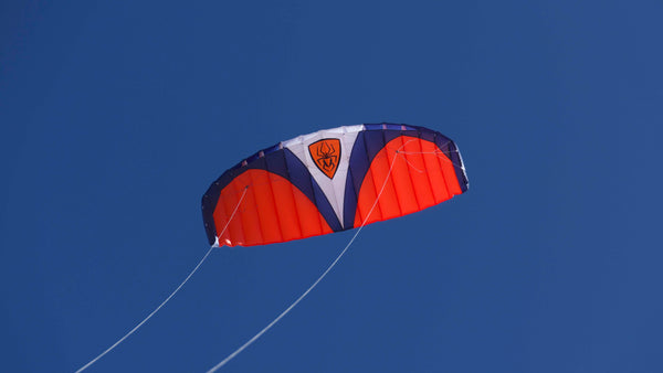 Spiderkites Wasabi 2.4