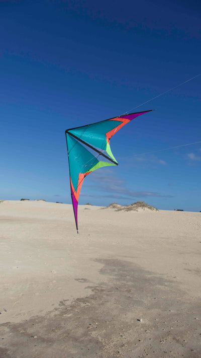 Spiderkites Elektra Mini Neon