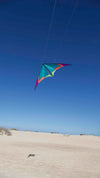 Spiderkites Elektra Mini Neon