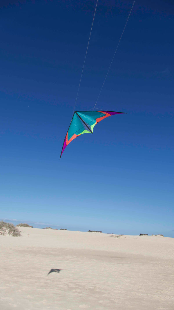 Spiderkites Elektra Mini Neon
