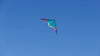 Spiderkites Elektra Mini Neon