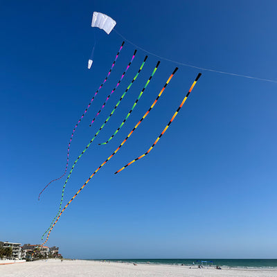 Prism Tube Tail 20 ft. Rainbow