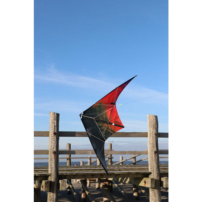 Spiderkites Buddy 2025 Red - Black